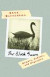 Black Swan: Memory, Midlife, and Migration