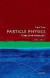 Particle Physics: A Very Short Introduction