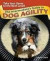 The Intermediate's Guide to Dog Agility: Take Your Game to the Next Level!