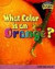 What Color Is an Orange?: Light and Color (Raintree Fusion: Physical Science)