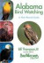 Alabama Bird Watching: A Year-Round Guide