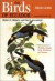 The Birds of Ecuador: Field Guide (Birds of Ecuador (Paperback))