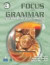 Focus on Grammar 3 (3rd Edition)