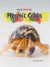 Hermit Crabs (Keeping Unusual Pets)