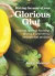 Making the Most of Your Glorious Glut: Cooking, storing, freezing, drying & preserving your garden produce