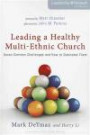 Leading a Healthy Multi-Ethnic Church: Seven Common Challenges and How to Overcome Them (Leadership Network Innovation Series)