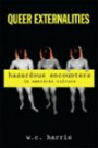 Queer Externalities: Hazardous Encounters in American Culture (SUNY series in Queer Politics and Cultures)