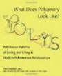 What Does Polyamory Look Like?: Polydiverse Patterns of Loving and Living in Modern Polyamorous Relationships
