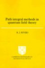 Path Integral Methods in Quantum Field Theory (Cambridge Monographs on Mathematical Physics)
