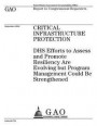 Critical infrastructure protection: DHS efforts to assess and promote resiliency are evolving but program management could be strengthened: report to