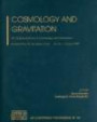 Cosmology and Gravitation: XIth Brazilian School of Cosmology and Gravitation (AIP Conference Proceedings / Astronomy and Astrophysics)