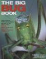 The Big Bug Book: Discover the Amazing World of Beetles, Bugs, Butterflies, Moths, Insects and Spider