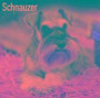 Schnauzer Calendar 2017 (Euro) - Dog Breed Calendars - 2016 - 2017 wall calendars - 16 Month by Avonside