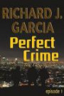 Perfect Crime Episode 1 The Engagement: Mystery (Thriller Suspense Crime Murder psychology Fiction)Series: Horror Thriller Short story: Volume 1