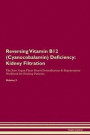 Reversing Vitamin B12 (Cyanocobalamin) Deficiency: Kidney Filtration The Raw Vegan Plant-Based Detoxification & Regeneration Workbook for Healing Pati