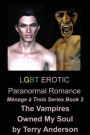 LGBT Erotic Paranormal Romance The Vampires Owned My Soul (Menage a Trois Series Book 2)