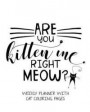 Are You Kitten Me Right Meow? Weekly Planner With Cat Coloring Pages: Schedule Your Week with Weekly To-Do Lists, Plan for Personal & Career Goals wit