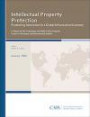 Intellectual Property Protection: Promoting Innovation in a Global Information Economy (CSIS Reports)