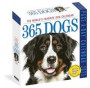 365 Dogs Page-A-Day Calendar 2025: The World's Favorite Dog Calendar