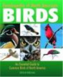 Encyclopedia of North American Birds : An Essential Guide to Common Birds of North America