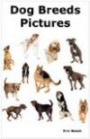Dog Breeds Pictures: Over 100 Breeds Including Chihuahua, Pug, Bulldog, German Shepherd, Maltese, Beagle, Rottweiler, Dachshund, Golden Retriever, Pomeranian, Doberman Pinscher, Terrier and Boxer