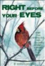 Right Before Your Eyes: True, Miraculous and Touching Stories Straight from the Heart
