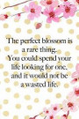 The Perfect Blossom Is A Rare Thing. You Could Spend Your Life Looking For One, And It Would Not Be A Wasted Life.: Blank Lined Notebook ( Cherry Blos