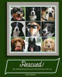 Rescued! My adopted dog's journal of life and love with me.: paperback, matte cover, with pages from first day of adoption to last day of life, color