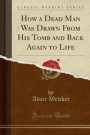 How a Dead Man Was Drawn from His Tomb and Back Again to Life (Classic Reprint)