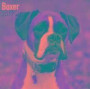 Boxer Dog Calendar 2017 (Euro) - Dog Breed Calendars - 2016 - 2017 wall calendars - 16 Month by Avonside