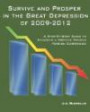 Survive And Prosper In The Great Depression Of 2009-2012: A Step-By-Step Guide To Amassing A Fortune Trading Foreign Currencie