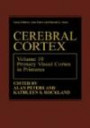 Primary Visual Cortex in Primates (Cerebral Cortex)