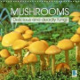 Mushrooms - Delicious and Deadly Fungi 2018: Fungi - the Strange and Wonderful Forms of Mushrooms (Calvendo Nature)