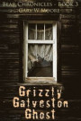 Grizzly Galveston Ghost: Bear Chronicles Book 3
