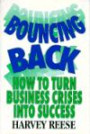Bouncing Back: How to Turn Business Crisis into Success