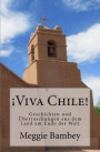 ¡Viva Chile!: Geschichten und Überraschungen aus dem Land am Ende der Welt