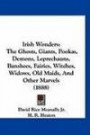 Irish Wonders: The Ghosts, Giants, Pookas, Demons, Leprechauns, Banshees, Fairies, Witches, Widows, Old Maids, And Other Marvels (1888)