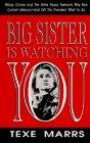 Big Sister is Watching You: Hillary Clinton and the White House Feminists Who Now Control America--And Tell the President What T