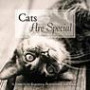 Cats Are Special: A Tribute to Elegance, Playfulness, and Grace