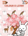 Colour & Learn: Animals Children's Educational Colouring Book, 8.5 by 11 inch Kids Animal Activity Book Learn & Teach