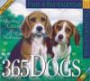 Original 365 Dogs Page-A-Day Calendar 2003