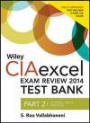 Wiley CIAexcel Exam Review 2014 Test Bank: Part 2, Internal Audit Practice (Wiley CIA Exam Review Series)